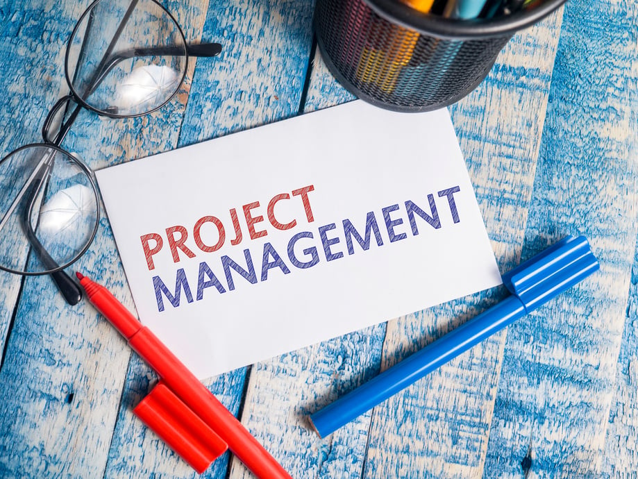 Project Management, Motivational Words Quotes Concept